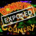 Donkey Kong Country 30 Jahre